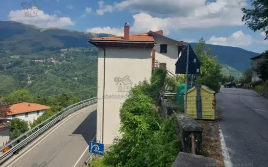Pianosinatico Intero Fabbricato Con Giardino
